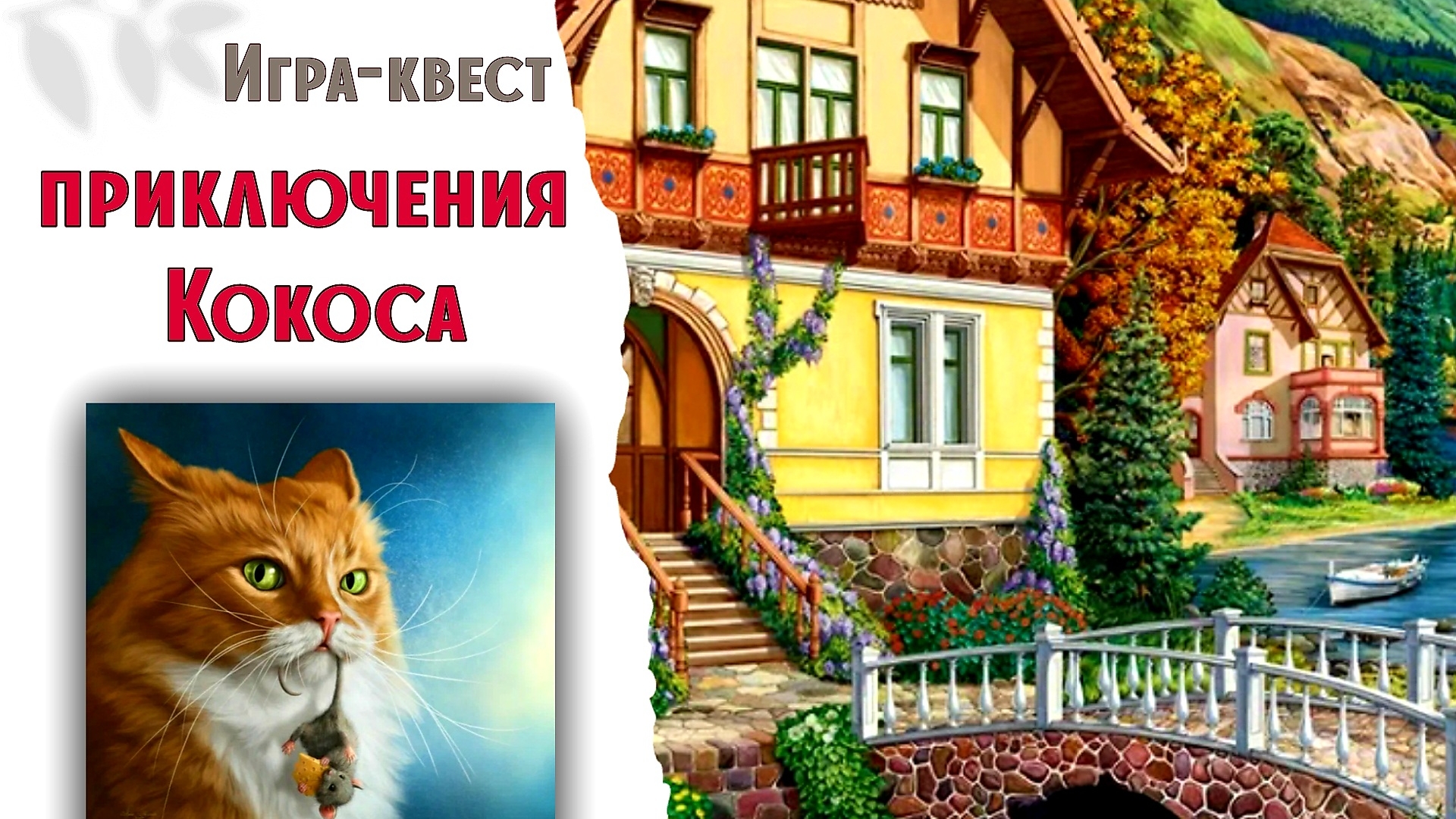 A0d2c0e55535a11fc4d747bc8ad7e811