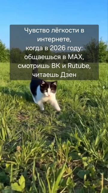 Dd2e067a78a99065710701e7b5f10c54