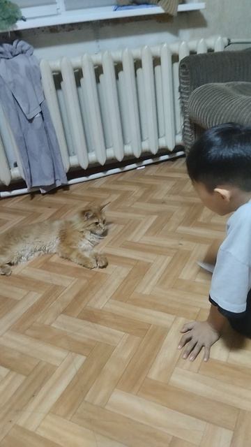 как дрессировщик