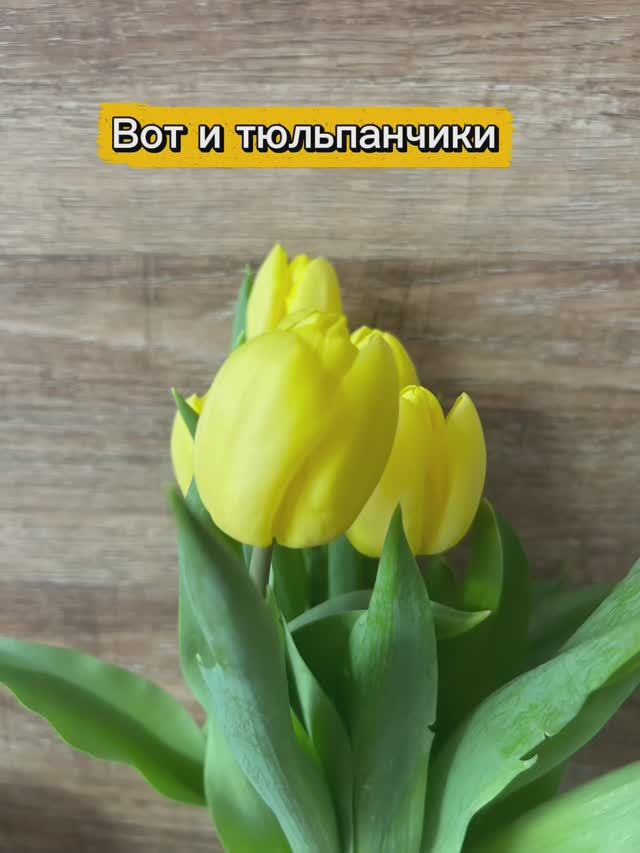 Copy_B22817CB-8E34-4F00-A11C-9F097E9B01F8