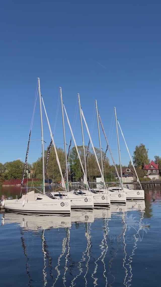 Солнечный день в яхт-клубе Буревестник