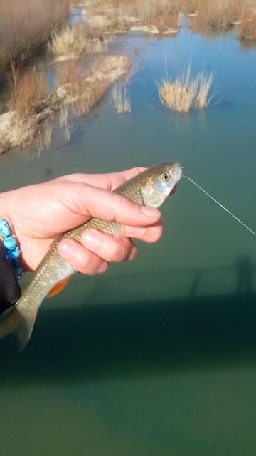 Открытие сезона 2026!