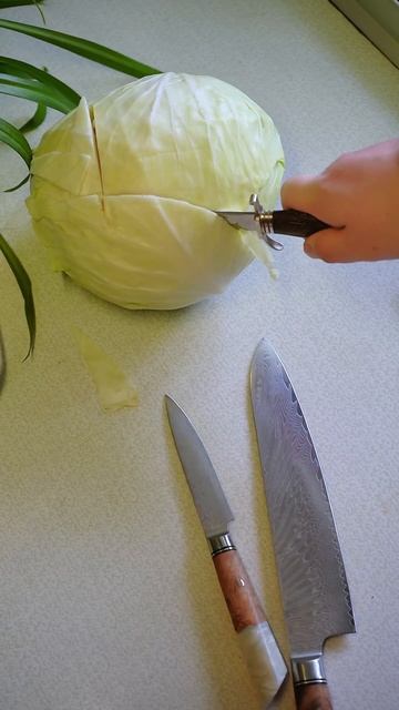 4c62799bd749a0cffcdb4746864be96d