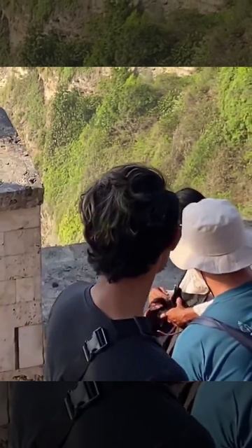 Обезьяны-торгаши