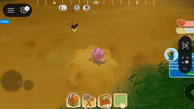 я застрял на острове загадочном яйцами