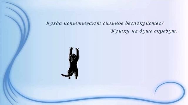 Веселая котовасия