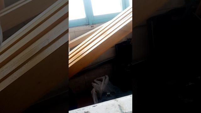 VID_20260310_170746.3gp