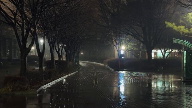 ASMR ДОЖДЬ для спокойного сна 🌧️ белый шум ливня