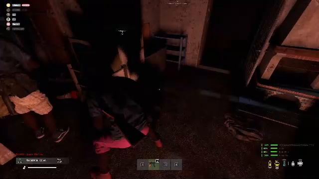 DayZированый сирок