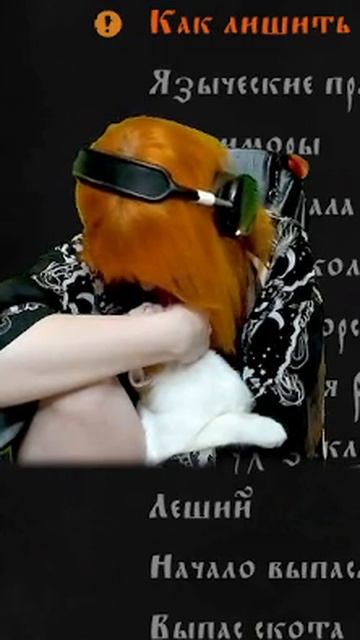 Ласки котика и лизание коленки