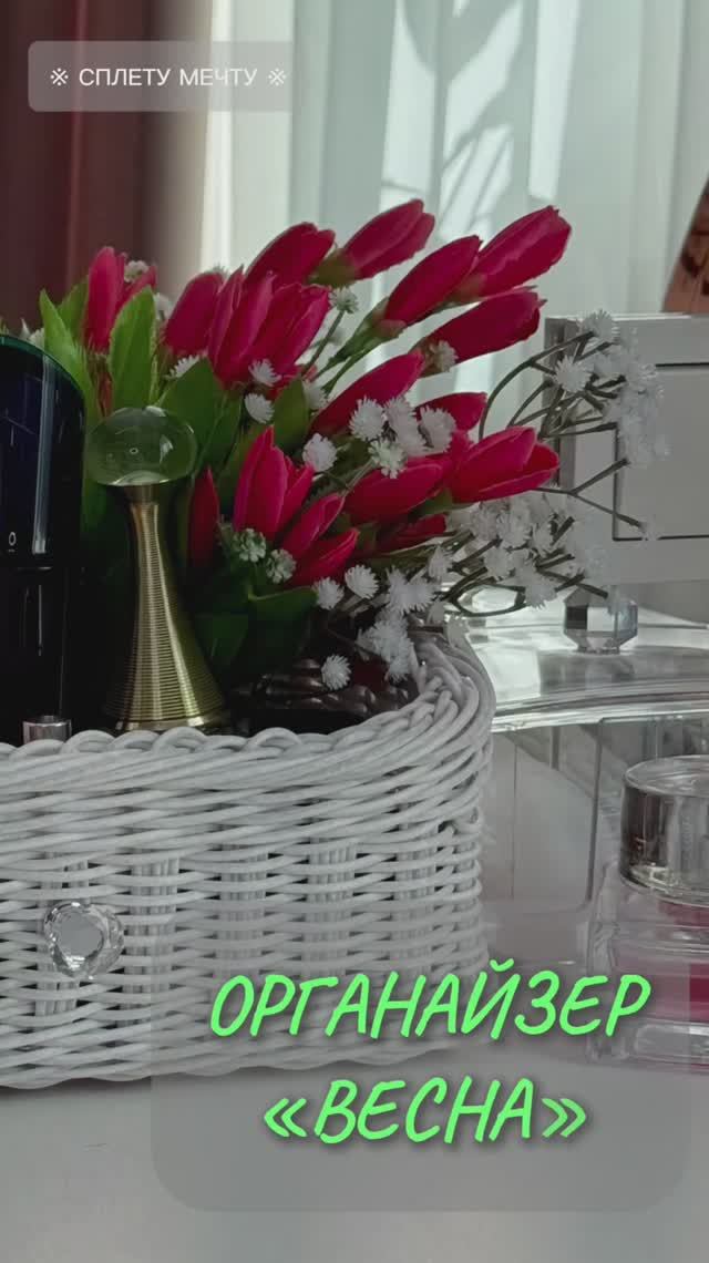 ОРГАНАЙЗЕР «ВЕСНА»