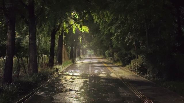 Нежный звук дождя для сна и расслабления 🌧️ Успокаивающий ночной парк ASMR