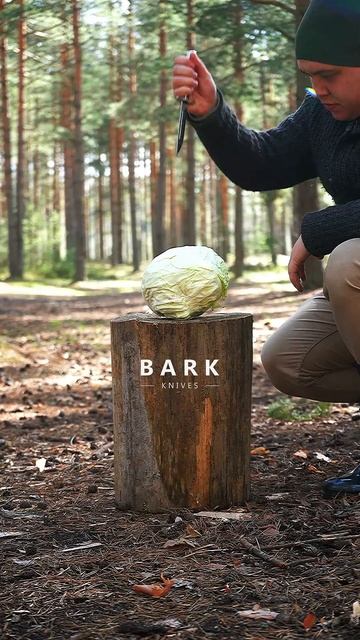 7240fe7f772708d021c93476c209ce8c