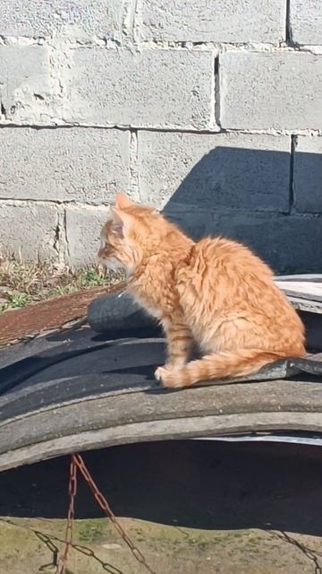 Eab2a192b10a620ee2dd1fc41ad3baac