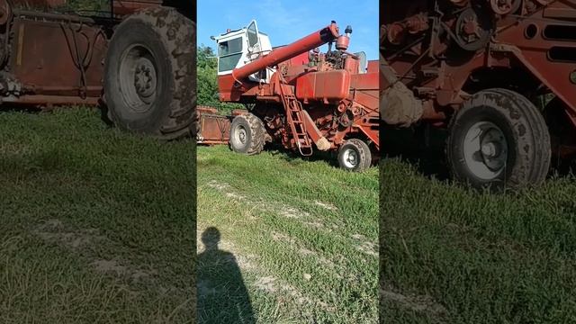 697b20069c5dad6527fc44a3df603a56