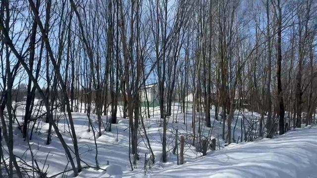 ЗУ:585 д.Мостки