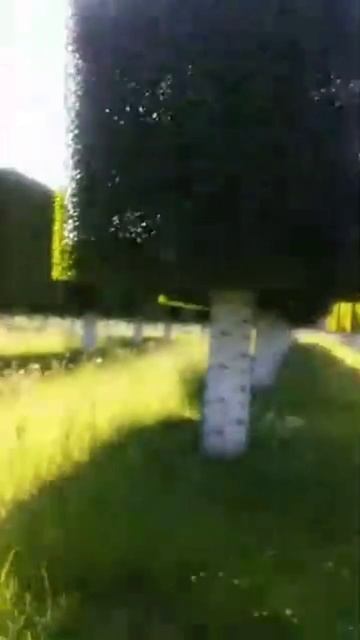 Minecraft Real Life #xxxbl00d