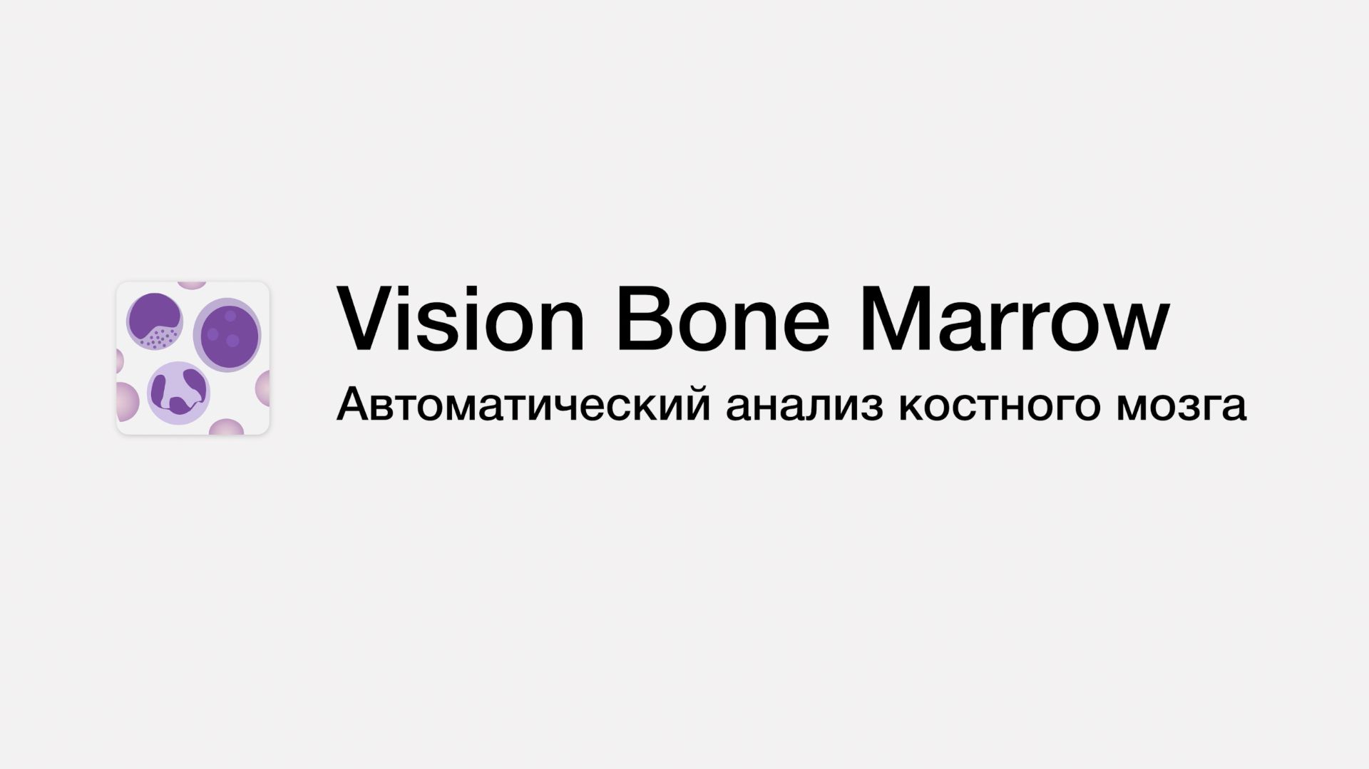Автоматический анализ клеток костного мозга | Vision Bone Marrow