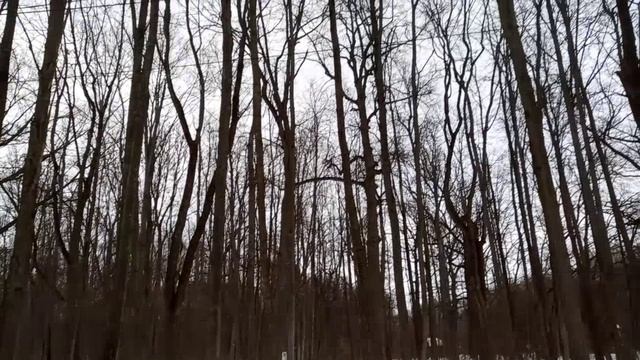 Березка обнимает подружек