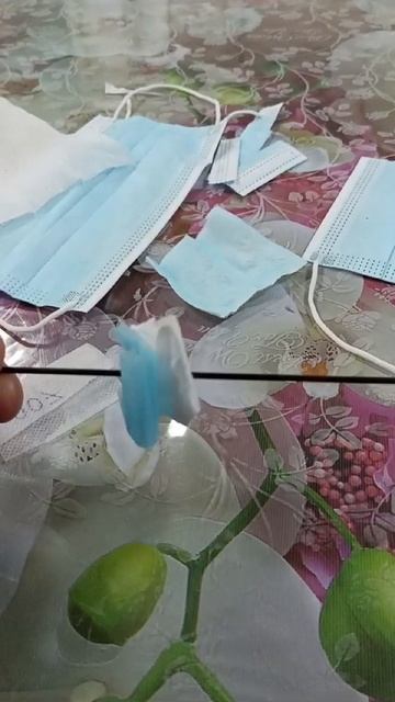 замачивание семян -удобный способ