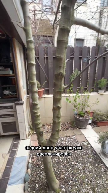 Таунхаус Лесная Поляна 16,5млн