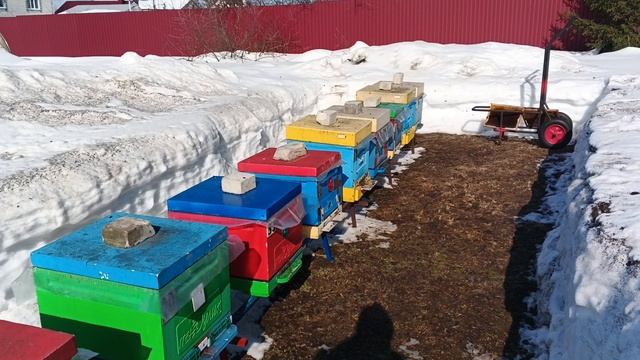 11.03.26. Загудели!!!