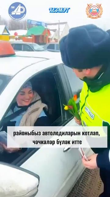 Балтачта автоледиларны котладылар