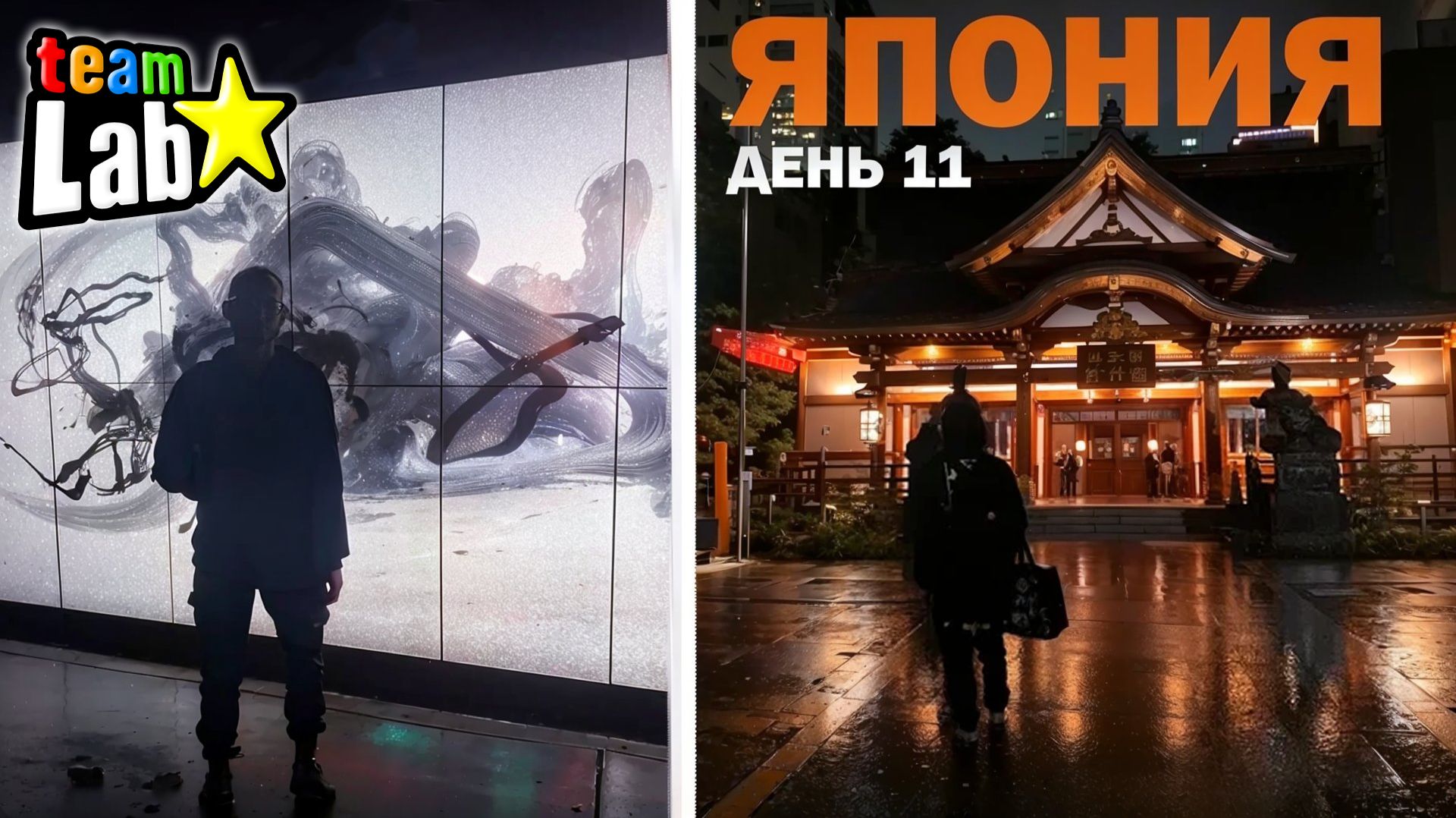 Япония. Токио. TeamLab Borderless. День 11