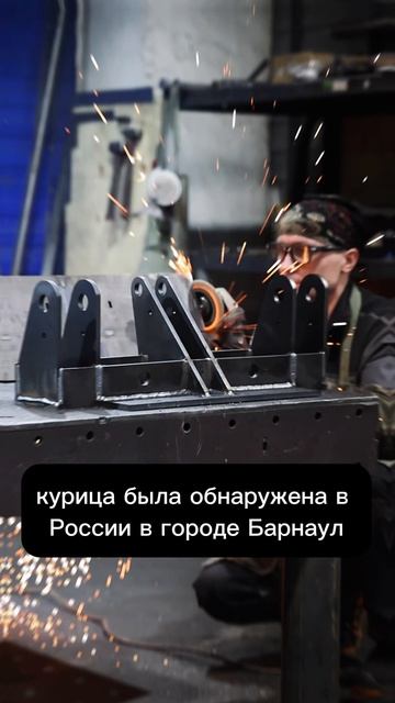 #погрузчики