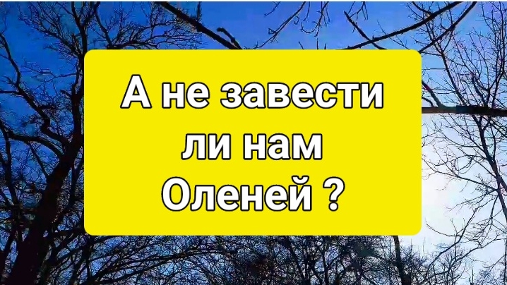 ЖИЗНЬ В ДЕРЕВНЕ КИПИТ//РАБОТЫ ВАЛОМ ,СТРОИМ ,МНОГО ПЛАНОВ