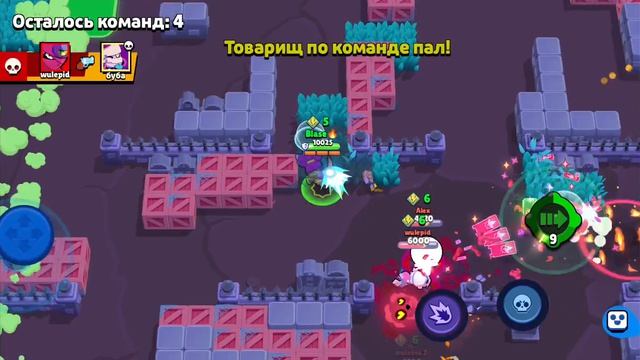 апую Шелли в бравл старс