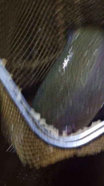 сёмкина 2 в комаровке