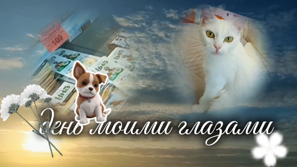 День моими глазами☘️(На какие кружки хожу?) делаю новую собаку+хожу в магазин