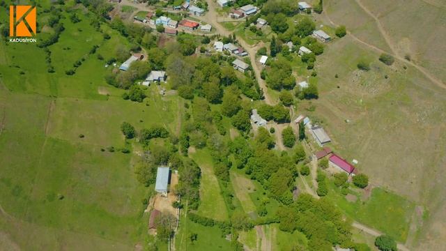 Nəbi Əvəz - Vətən