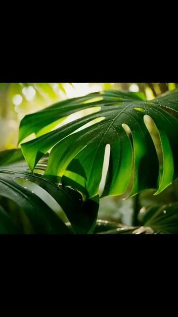 #природныечудеса #природоохранныеобъекты #природа #приключения #красотыприроды #захватывающиепейзаж