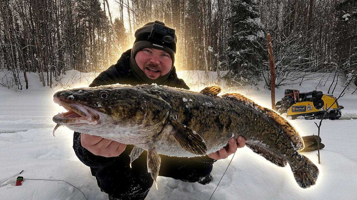 ПРОВЕРИЛ ЖЕРЛИЦЫ И ОБАЛДЕЛ. ПОЙМАЛ МНОГО НАЛИМОВ.ДЕДОВСКИЙ МЕТОД СРАБОТАЛ