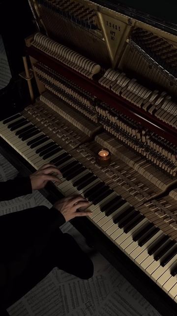 Çalıkuşu / Lovebird #aesthetic #piano #calm
