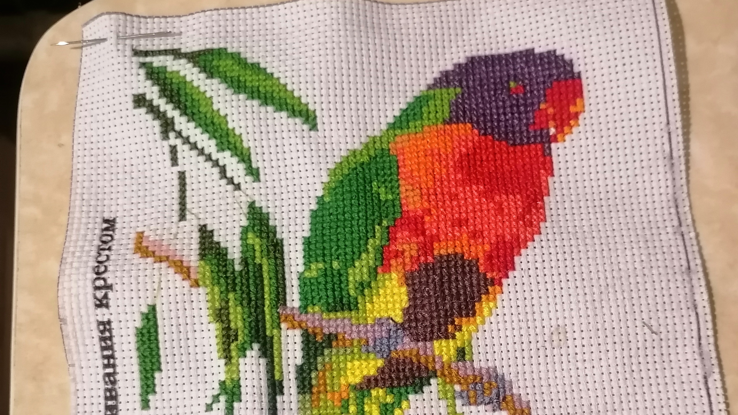 Живой процесс вышивки/продолжение своего процесса