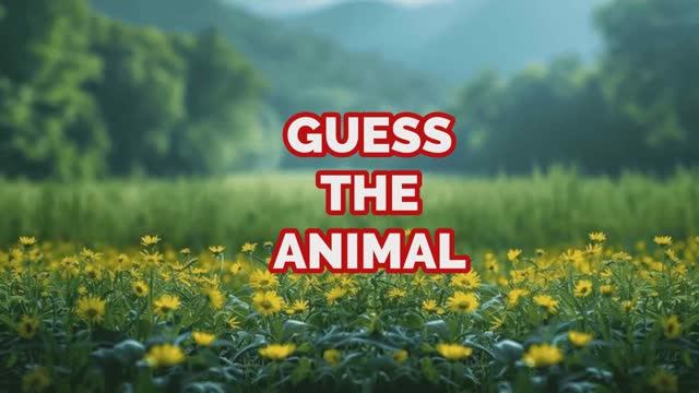 Guess The Animal (3)