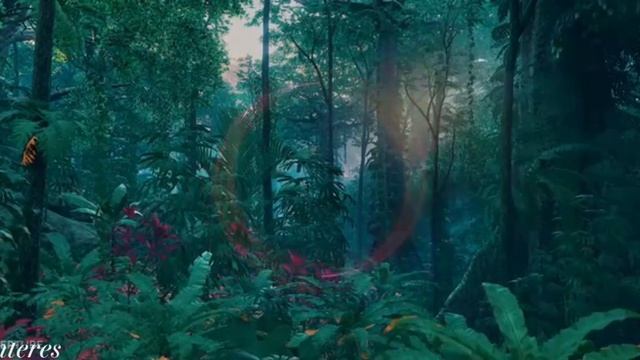 40hz #релакс #фон #футажи #рутуб #медитация #йога #дзен