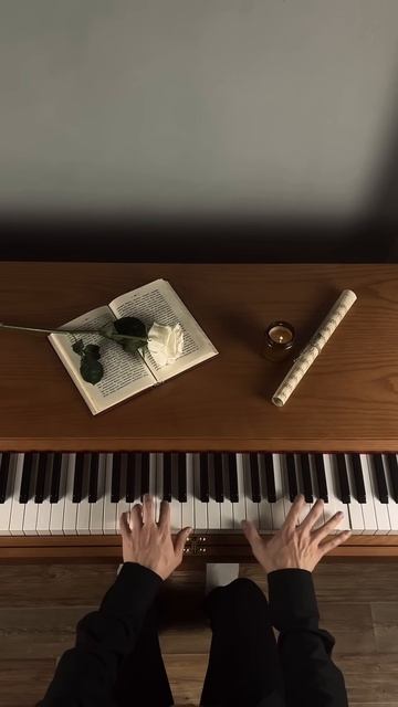 Passacaglia️❤️ #aesthetic #piano #darkacademia