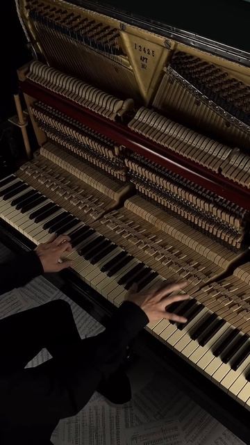 Voilà ✨ #aesthetic #piano #calm