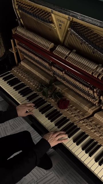 Experience #aesthetic #piano #calm