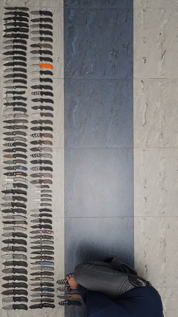 Коллекционер