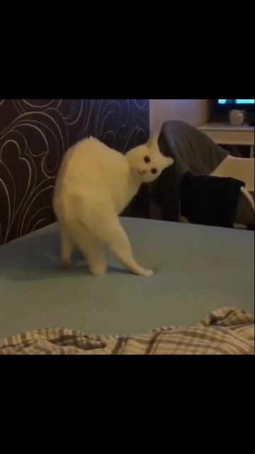 Знакомо_ 😄 #shorts #short #юмор