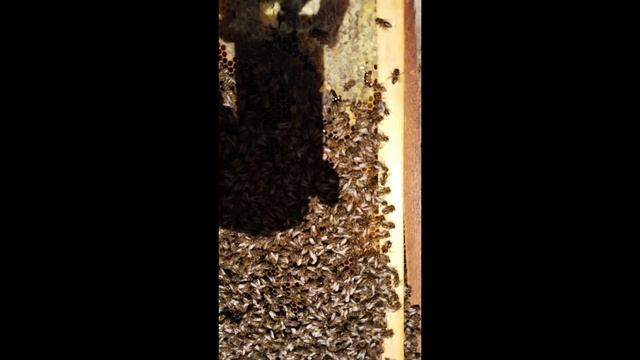 11.03.2026 сезон начался