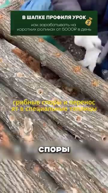 В деревнях нет работы говорят, а вот они сами создают труд. Очень интересно. надо бы тоже  и нам:))