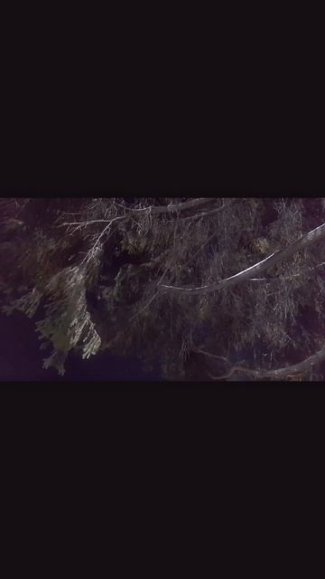 Таинственная красота природы... 🌚🌛🌒

#красотавокруг#ЕвгенияГалактионова
#ЕвгенияГелакс