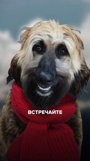 589286e44ea0bf725814659f278a86e5