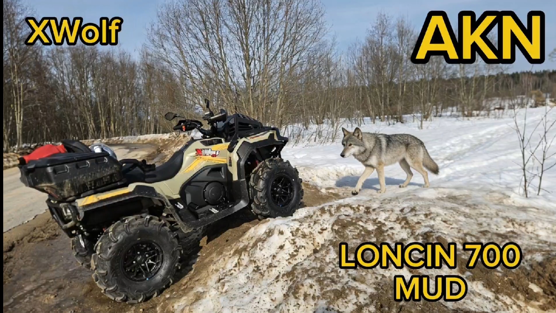 LONCIN Xwolf 700 MUD
